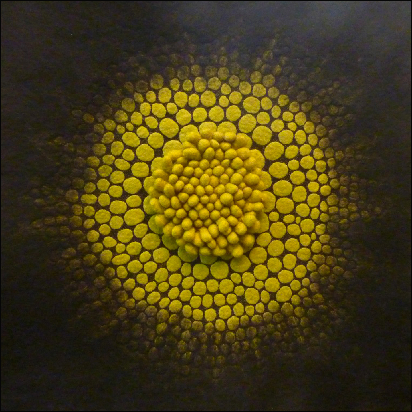 McRitchie, Helen_ Monera